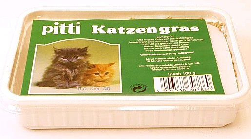 pitti kattengras in een schaal      100 g