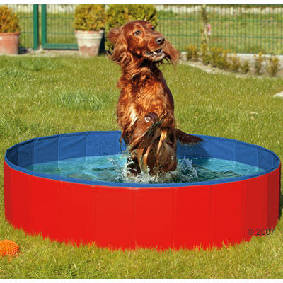 doggy pool     Ø 120 x h 30 cm