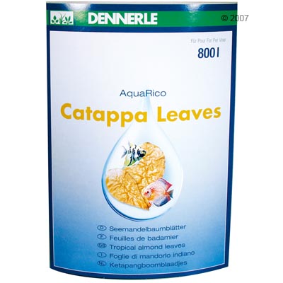 dennerle catappa leaves     8 stuk