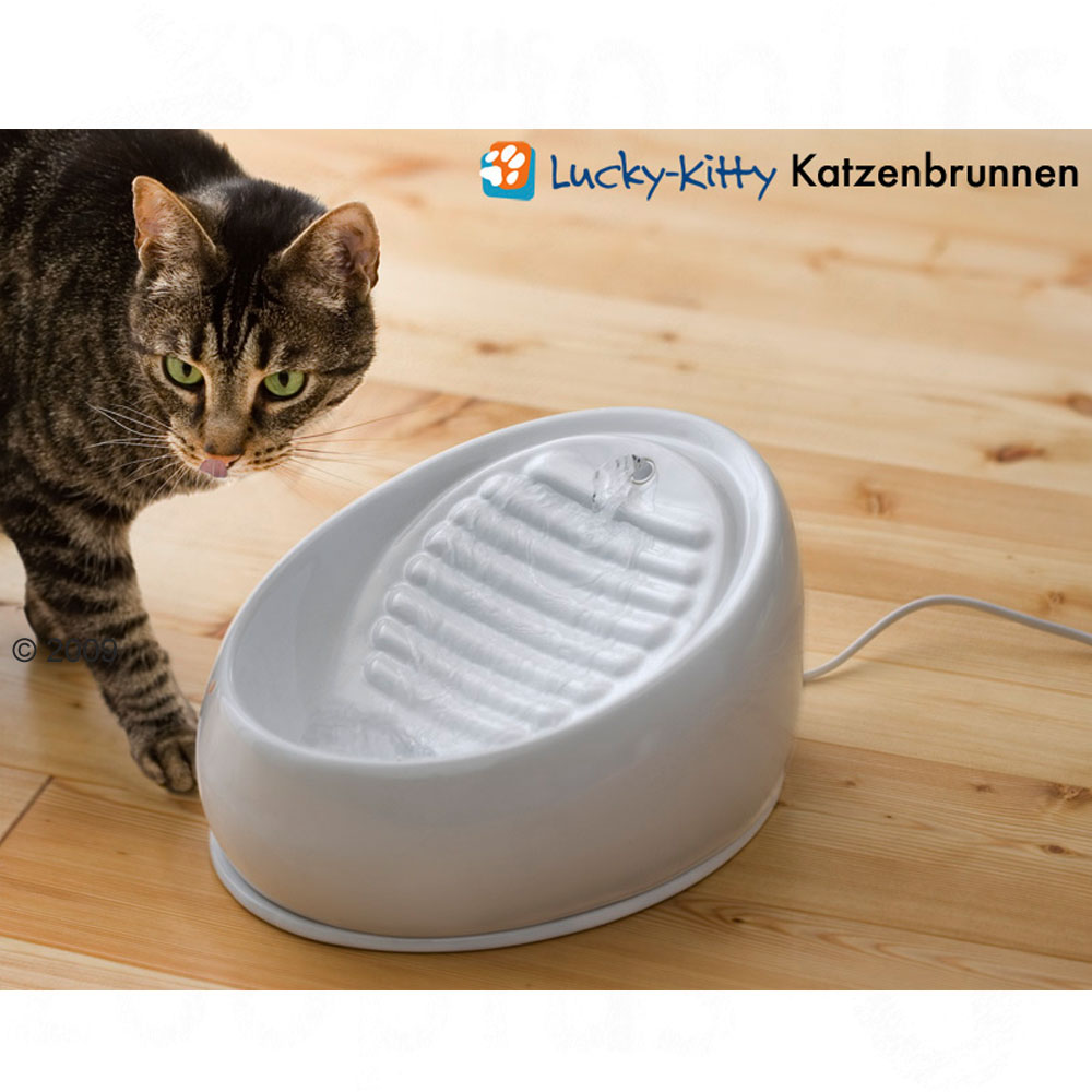 Lucky kitty keramische kattenfontein      wit van kantoor artikelen tip.