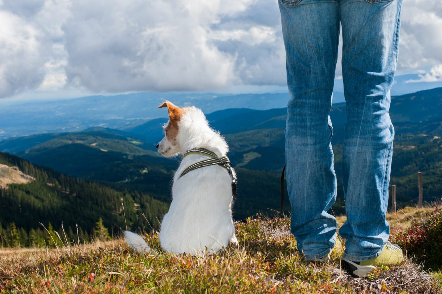 hond en baasje op bergtop