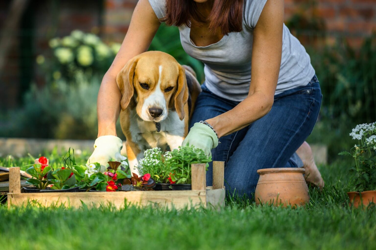 Vrouw werkt in tuin met hond