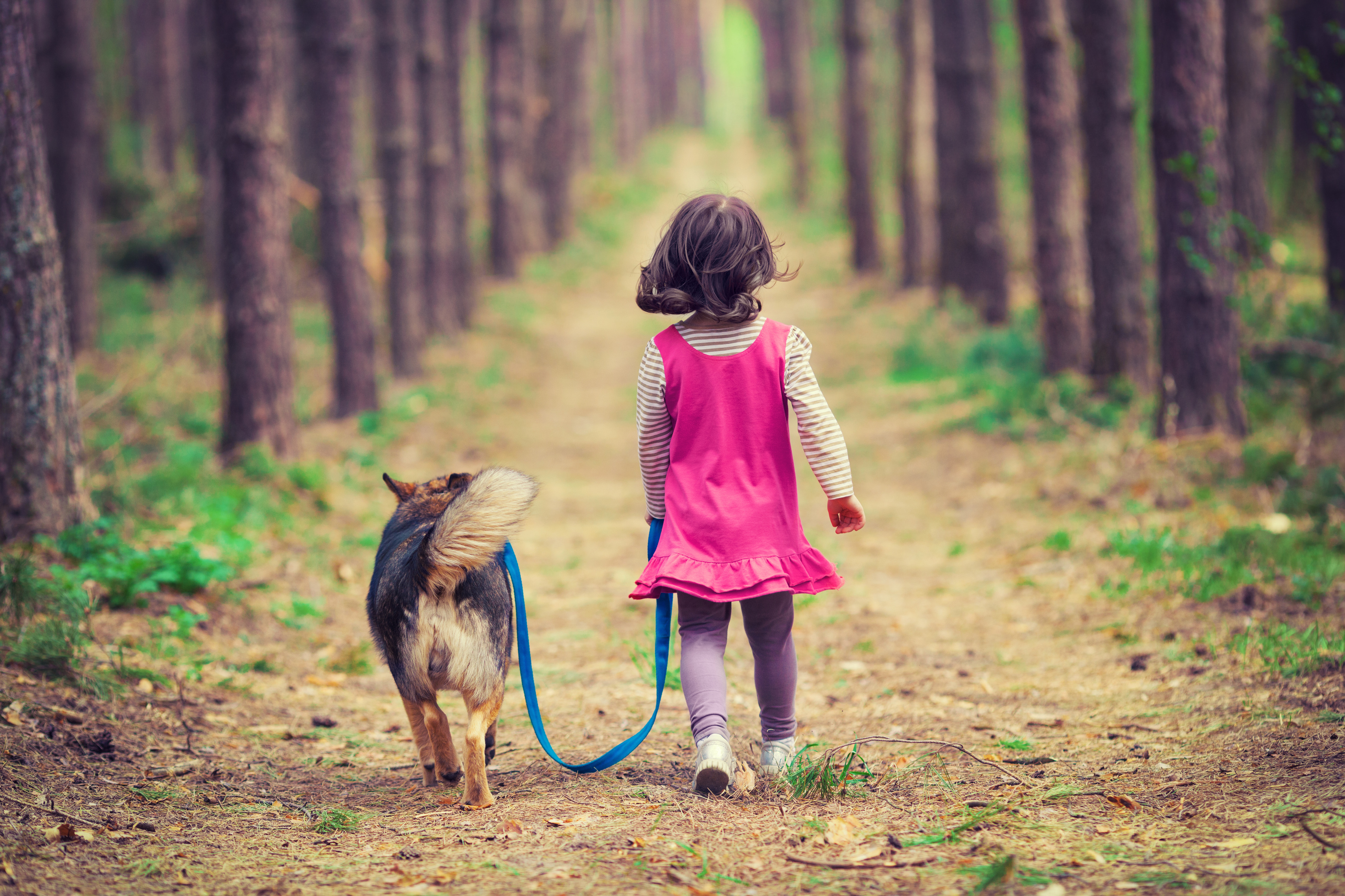 hond met meisje in bos