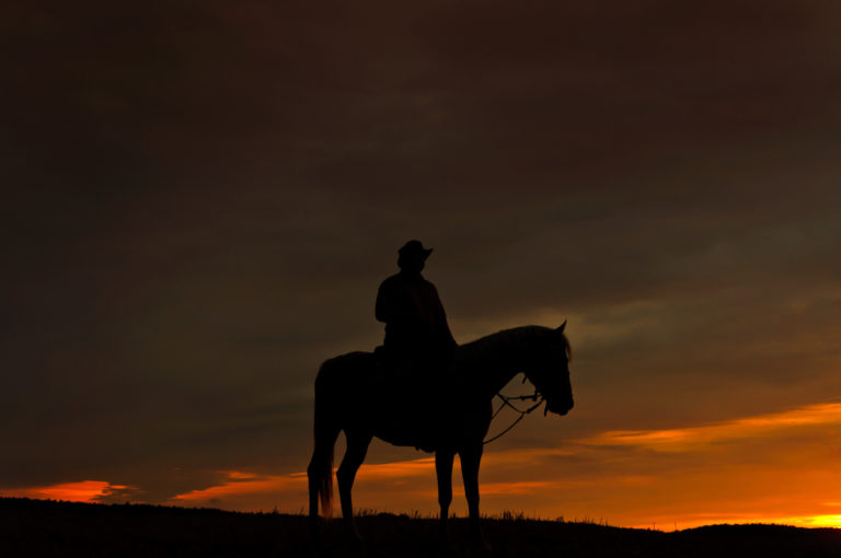 Pretentieloos rand Vakantie Paardrijden in het donker | Paardenverzorging | zooplus Magazine