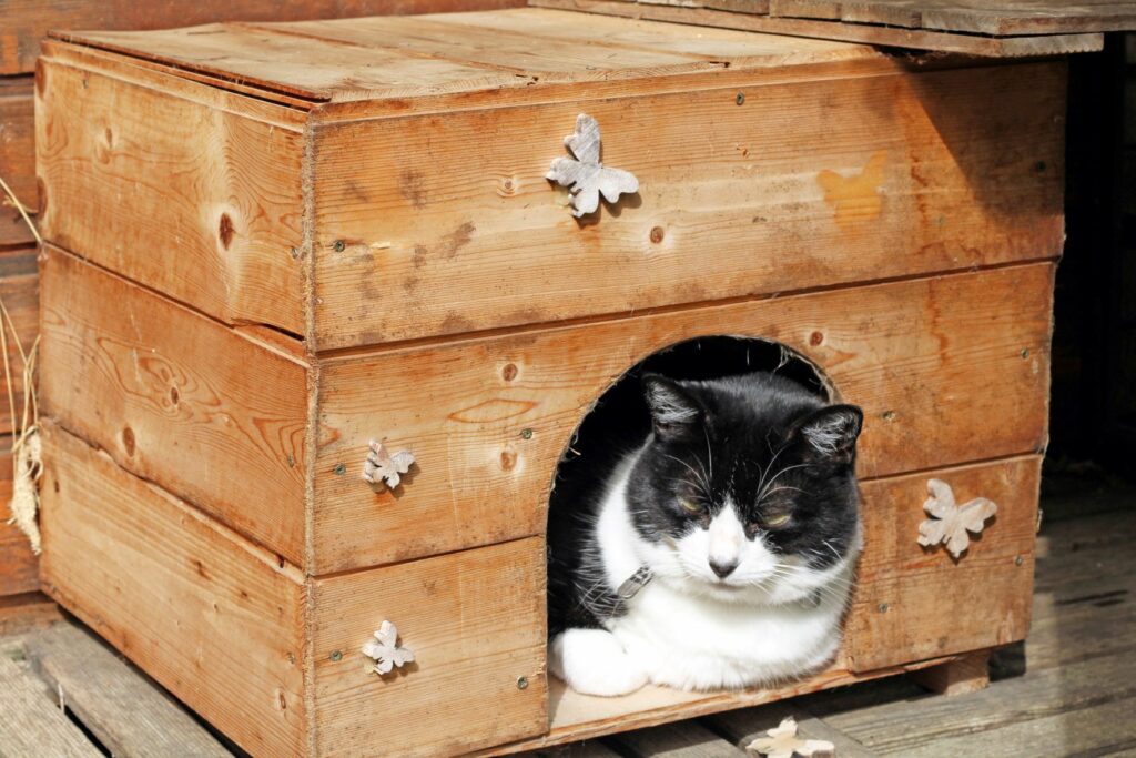 schroot binnenvallen Uitsluiten Zelf een kattenhuis bouwen | zooplus Magazine