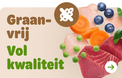 NL_grainfree_campaign_01_2025